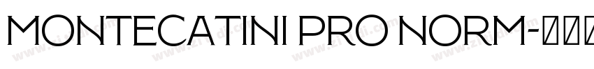 Montecatini Pro Norm字体转换